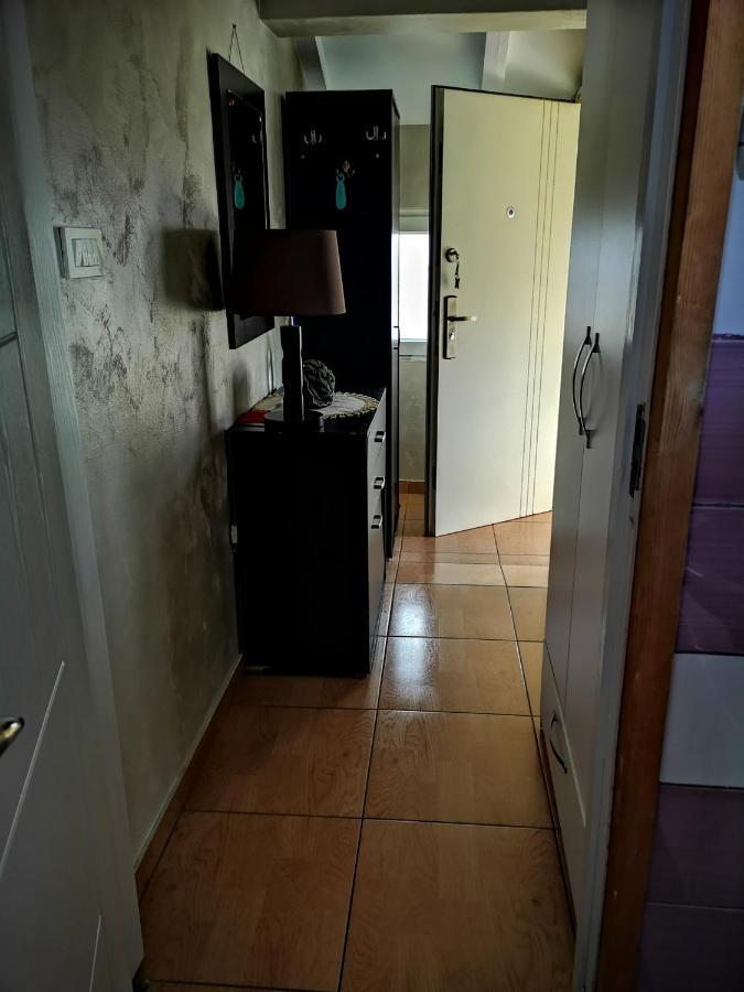 Apartman Sunny Apartment Cetinje Ngoại thất bức ảnh