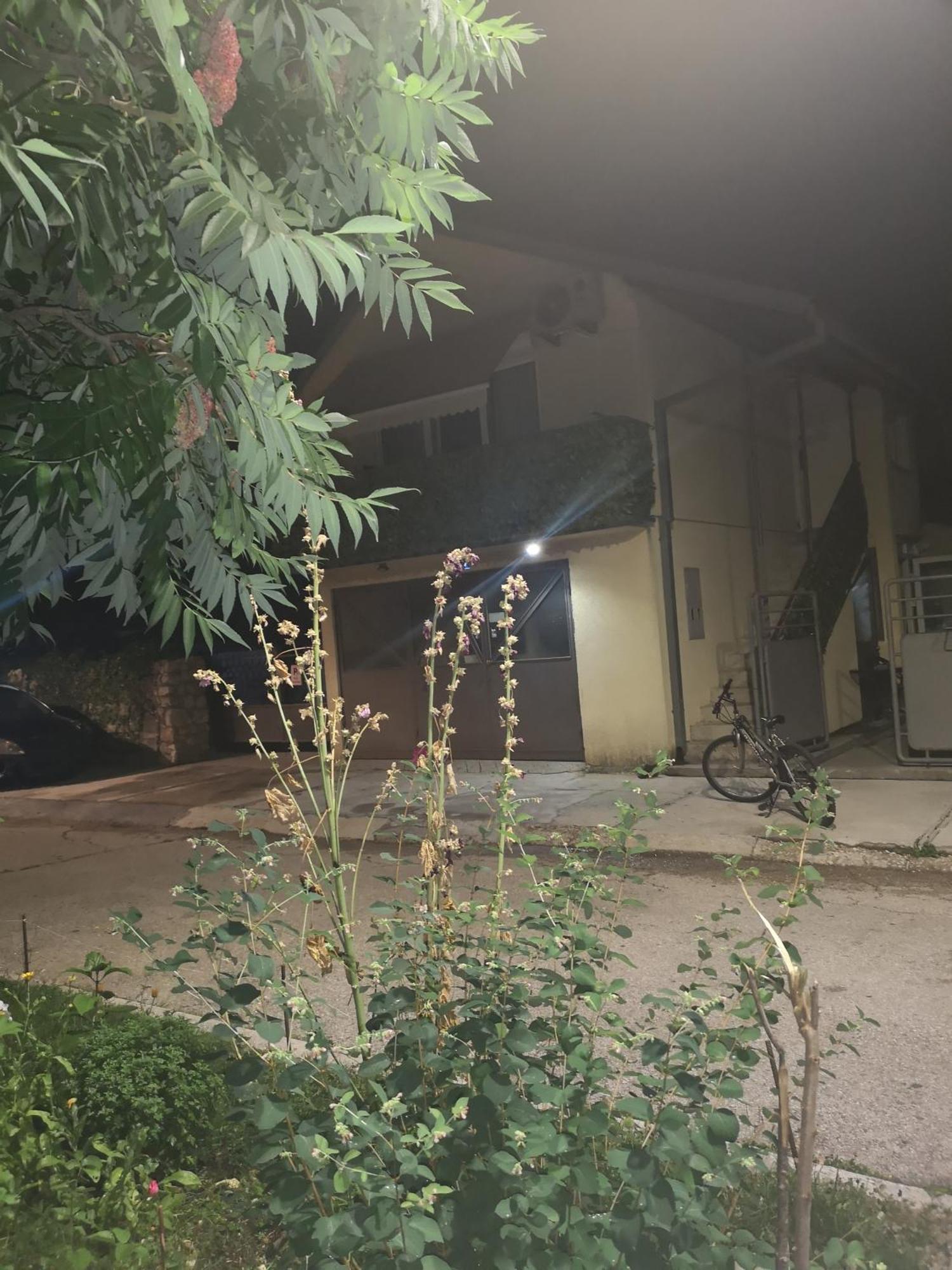 Apartman Sunny Apartment Cetinje Ngoại thất bức ảnh
